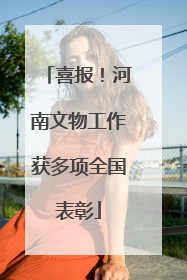 喜报！河南文物工作获多项全国表彰