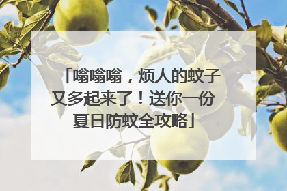 嗡嗡嗡，烦人的蚊子又多起来了！送你一份夏日防蚊全攻略