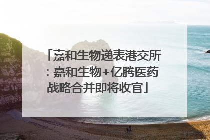 嘉和生物递表港交所：嘉和生物+亿腾医药战略合并即将收官