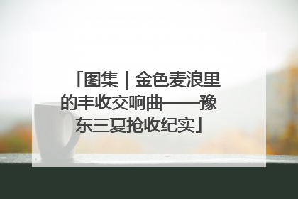图集｜金色麦浪里的丰收交响曲——豫东三夏抢收纪实