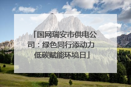 国网瑞安市供电公司：绿色同行添动力 低碳赋能环境日