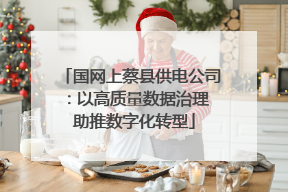 国网上蔡县供电公司：以高质量数据治理 助推数字化转型
