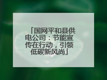 国网平和县供电公司：节能宣传在行动，引领低碳新风尚