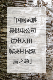 国网武胜县供电公司送电入田 解决村民燃眉之急