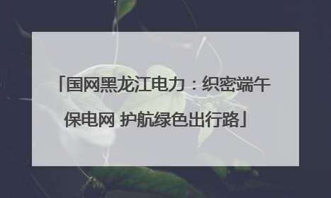 国网黑龙江电力：织密端午保电网 护航绿色出行路