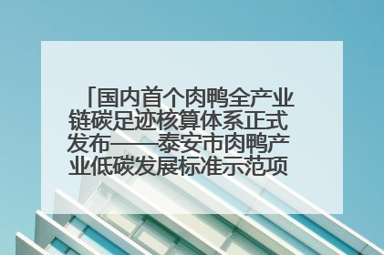 国内首个肉鸭全产业链碳足迹核算体系正式发布——泰安市肉鸭产业低碳发展标准示范项目顺利通过验收