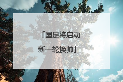 国足将启动新一轮换帅