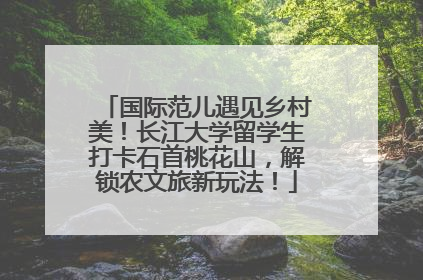 国际范儿遇见乡村美！长江大学留学生打卡石首桃花山，解锁农文旅新玩法！
