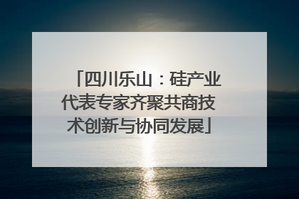 四川乐山：硅产业代表专家齐聚共商技术创新与协同发展