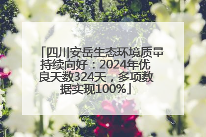 四川安岳生态环境质量持续向好：2024年优良天数324天，多项数据实现100%