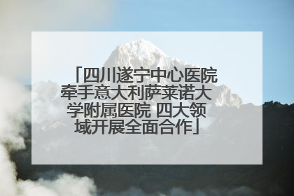 四川遂宁中心医院牵手意大利萨莱诺大学附属医院 四大领域开展全面合作