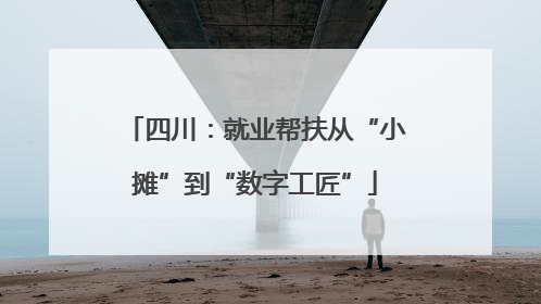四川：就业帮扶从“小摊”到“数字工匠”