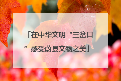 在中华文明“三岔口”感受蔚县文物之美