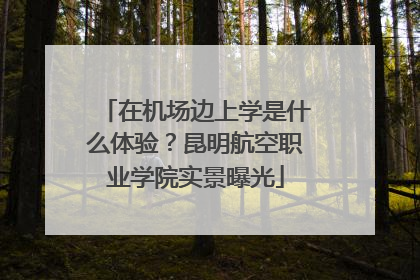 在机场边上学是什么体验？昆明航空职业学院实景曝光