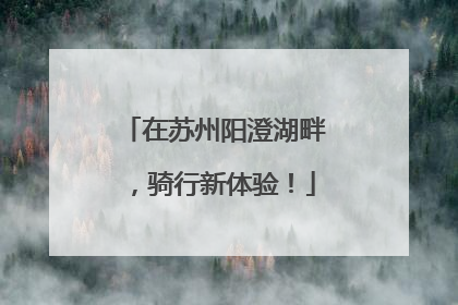 在苏州阳澄湖畔，骑行新体验！