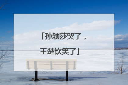 孙颖莎哭了，王楚钦笑了