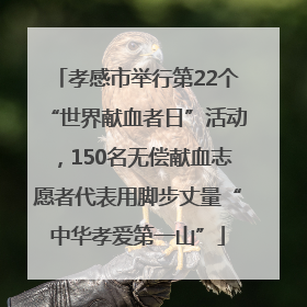 孝感市举行第22个“世界献血者日”活动，150名无偿献血志愿者代表用脚步丈量“中华孝爱第一山”
