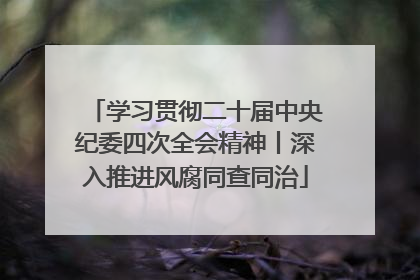 学习贯彻二十届中央纪委四次全会精神丨深入推进风腐同查同治