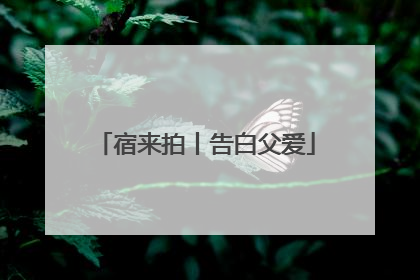 宿来拍丨告白父爱