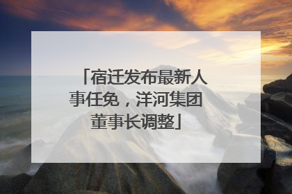 宿迁发布最新人事任免，洋河集团董事长调整
