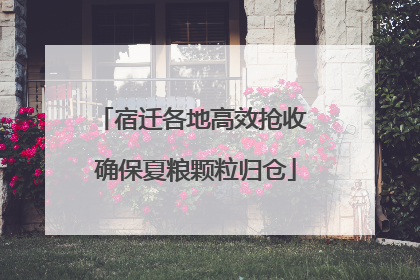 宿迁各地高效抢收 确保夏粮颗粒归仓