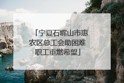 宁夏石嘴山市惠农区总工会助困难职工重燃希望