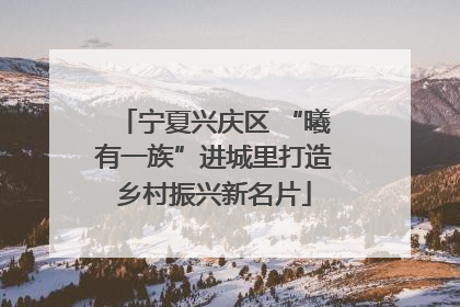 宁夏兴庆区 “曦有一族”进城里打造乡村振兴新名片