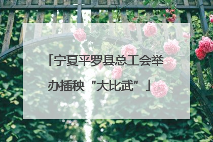 宁夏平罗县总工会举办插秧“大比武”