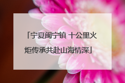 宁夏闽宁镇 十公里火炬传承共赴山海情深