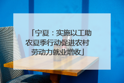 宁夏：实施以工助农夏季行动促进农村劳动力就业增收