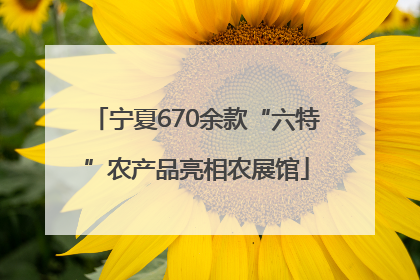 宁夏670余款“六特”农产品亮相农展馆