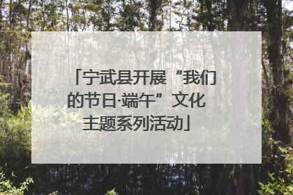 宁武县开展“我们的节日·端午”文化主题系列活动