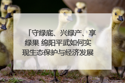 守绿底、兴绿产、享绿果 绵阳平武如何实现生态保护与经济发展双赢？｜新闻发布最前线·深一度