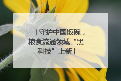 守护中国饭碗，粮食流通领域“黑科技”上新