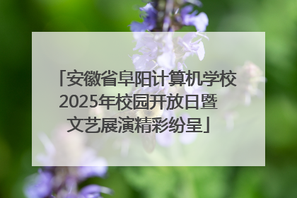 安徽省阜阳计算机学校2025年校园开放日暨文艺展演精彩纷呈
