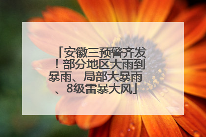 安徽三预警齐发！部分地区大雨到暴雨、局部大暴雨、8级雷暴大风