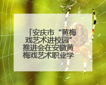 安庆市“黄梅戏艺术进校园”推进会在安徽黄梅戏艺术职业学院顺利召开