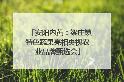 安阳内黄：梁庄镇特色蔬果亮相央视农业品牌甄选会