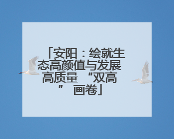 安阳：绘就生态高颜值与发展高质量 “双高” 画卷