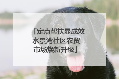 定点帮扶显成效 水景湾社区农贸市场焕新升级