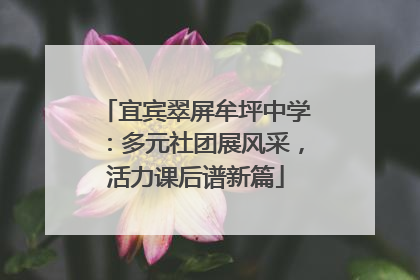 宜宾翠屏牟坪中学：多元社团展风采，活力课后谱新篇