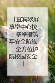 宜宾翠屏草堂中心校：多举措筑牢安全防线，全方位护航校园安全