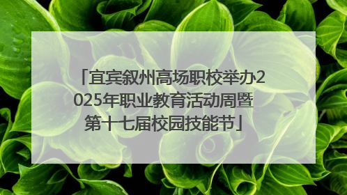宜宾叙州高场职校举办2025年职业教育活动周暨第十七届校园技能节