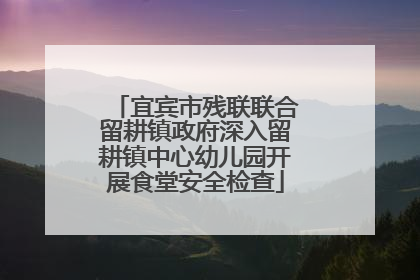 宜宾市残联联合留耕镇政府深入留耕镇中心幼儿园开展食堂安全检查
