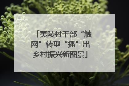 夷陵村干部“触网”转型“播”出乡村振兴新图景