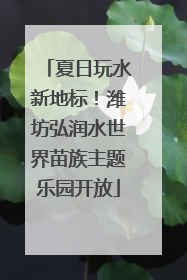 夏日玩水新地标！潍坊弘润水世界苗族主题乐园开放