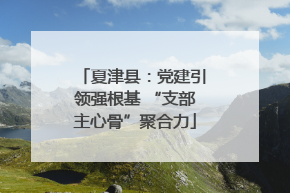 夏津县：党建引领强根基 “支部主心骨”聚合力