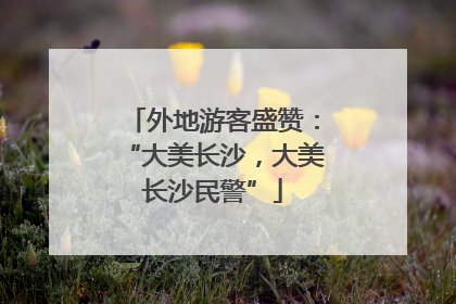 外地游客盛赞：“大美长沙，大美长沙民警”