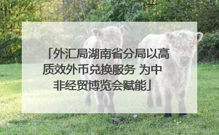 外汇局湖南省分局以高质效外币兑换服务 为中非经贸博览会赋能