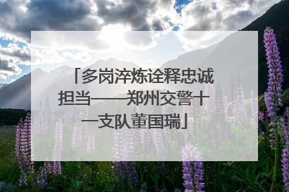 多岗淬炼诠释忠诚担当——郑州交警十一支队董国瑞